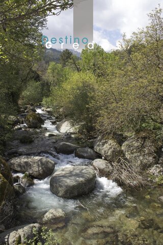 Una imagen de un arroyo con rocas y agua en la Sierra de Gredos.