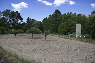Un campo con tierra sin cultivar en la Sierra de Gredos.