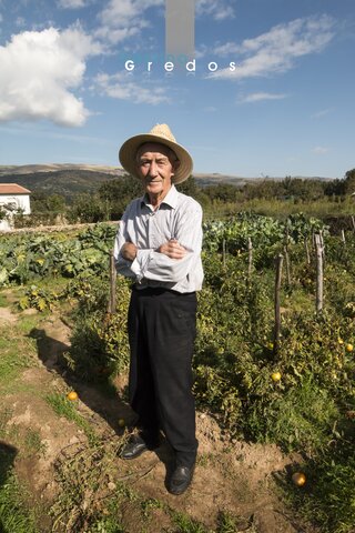 Un hombre está de pie en un terreno de cultivo, posiblemente un agricultor en la Sierra de Gredos.