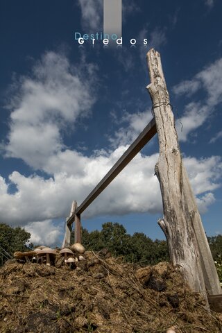 Un tronco de madera en un terreno cubierto de tierra en la Sierra de Gredos.