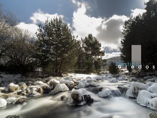 A snowy landscape featuring trees and rocks, likely in a mountainous area en la Sierra de Gredos.