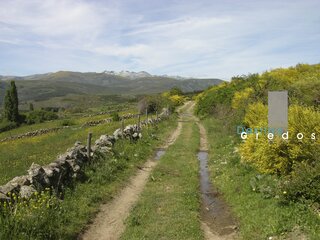 Un sendero rural en un paisaje montañoso con vegetación en la Sierra de Gredos.