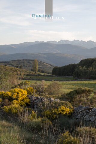 Un paisaje rural con un terreno ondulado y un camino de tierra en la Sierra de Gredos.