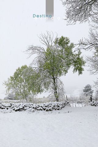 Una imagen de un paisaje invernal con nieve en el suelo y un camino de tierra en la Sierra de Gredos.